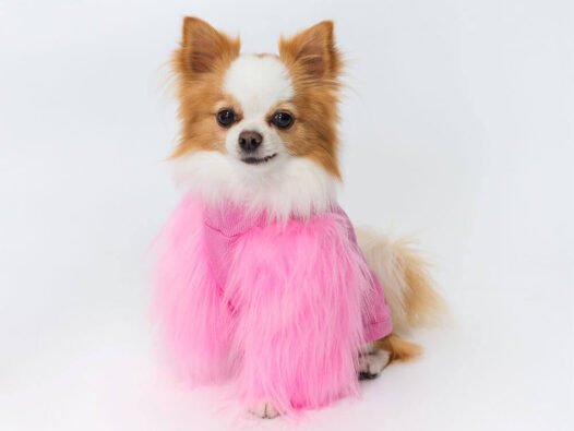 Pele Alta Pink