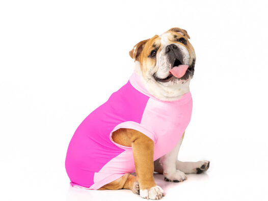 Regata Pink Fluor